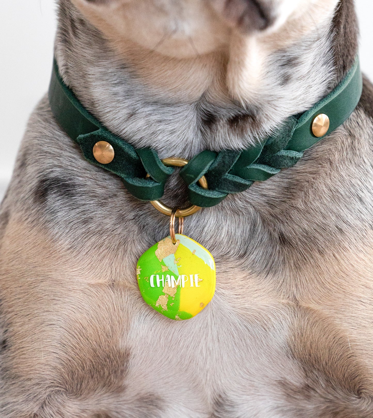 Summer Lime