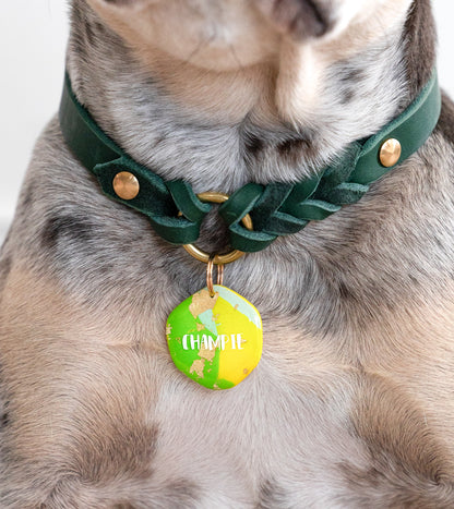 Summer Lime