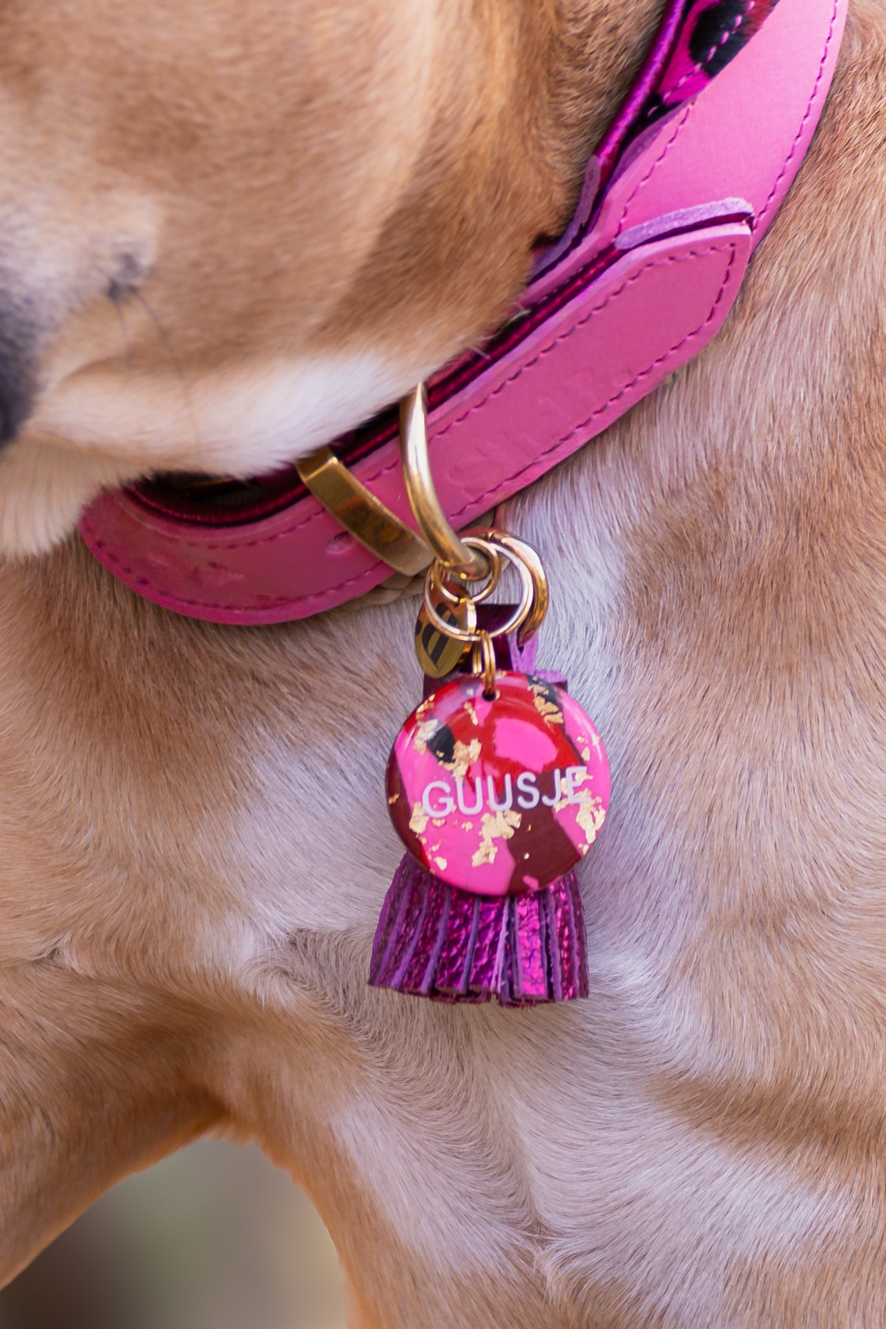 Golden Fragments Fuchsia
